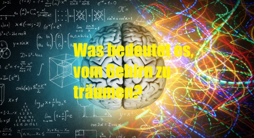 Was bedeutet es, vom Gehirn zu träumen? Verborgener Reichtum, Intelligenz und ethische Botschaften