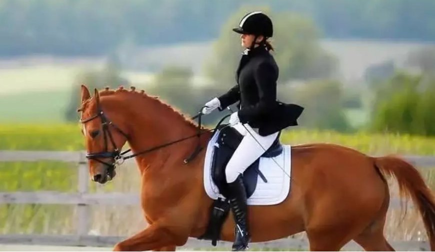 Traumdeutung: Was es bedeutet, im Traum Reiten zu sehen