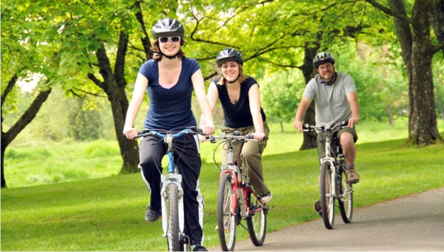 Was bedeutet es, von einem Fahrrad zu träumen? Reisen, Entscheidungen und Lebensprüfungen