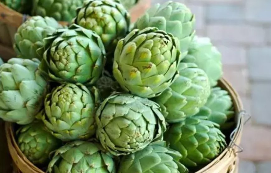 Artischocken: Mediterranes Superfood mit wissenschaftlich gestützten Vorteilen